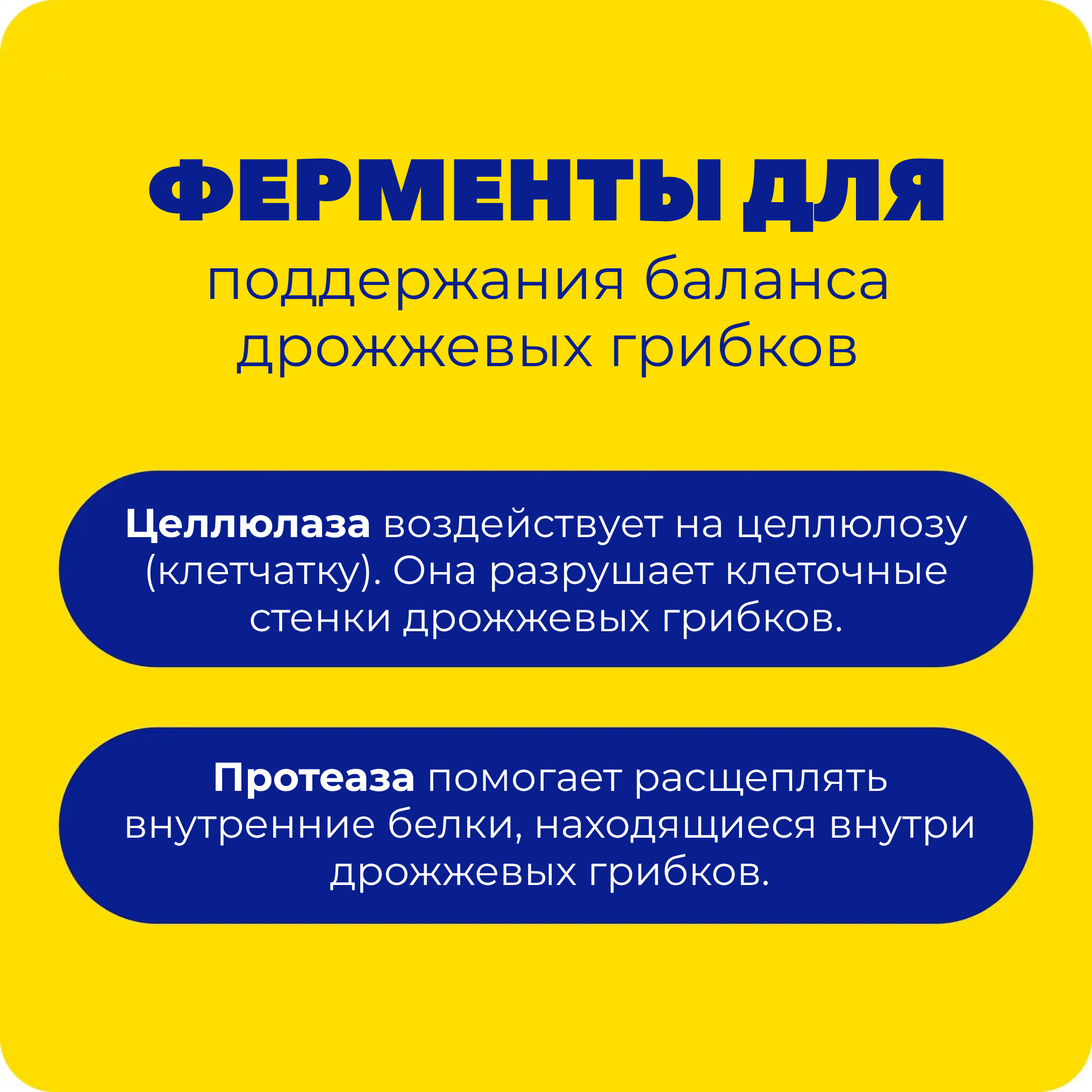 01e46db8-6179-11ef-94bc-d68dfe980b63_309cdb68-244b-11f1-9fd9-d68dfe980b63